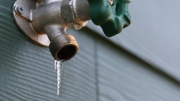 Best Plumbing Inspection Services  in Palmetto, FL