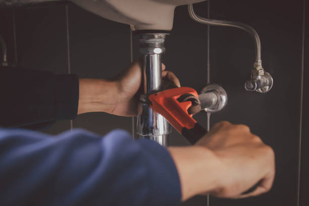 Best Residential Plumbing Services  in Palmetto, FL